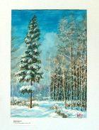 Winter Clearing with Fir-tree near Moscow.
