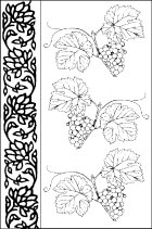 Pattern with Vine